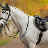 White horse with a bridle and saddle with green saddle pad in an autumn setting