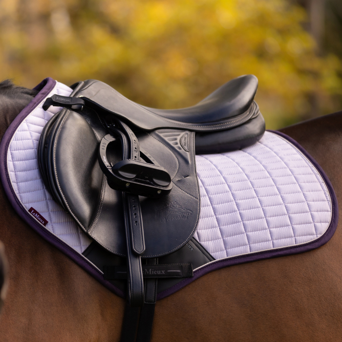 Saddle on a horse with a lilac saddle pad and purple border, blurred natural background