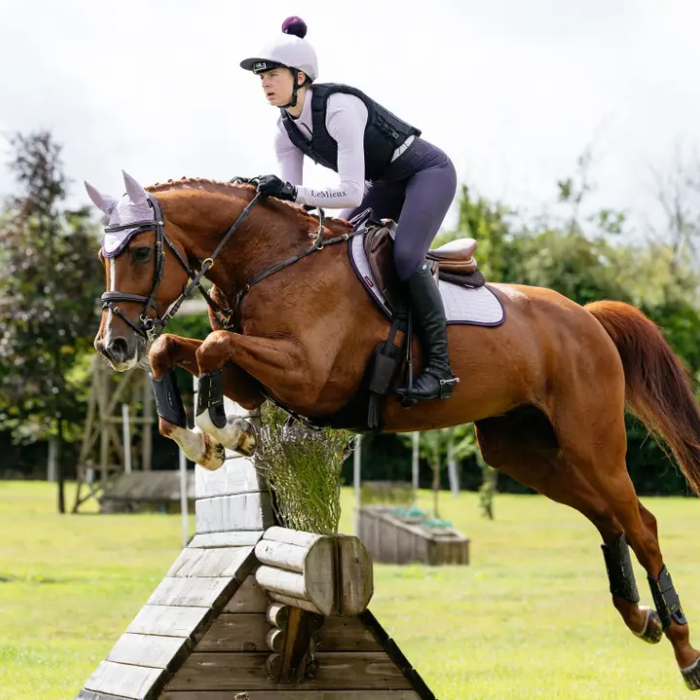 Horse and rider jumping an obstacle in an equestrian setting