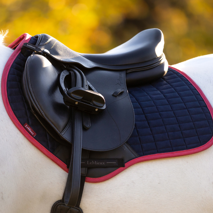 Equestrian saddle with black leather and red and navy quilted pad on a horse, blurred natural background