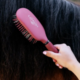 Red hairbrush being used on a horse's coat