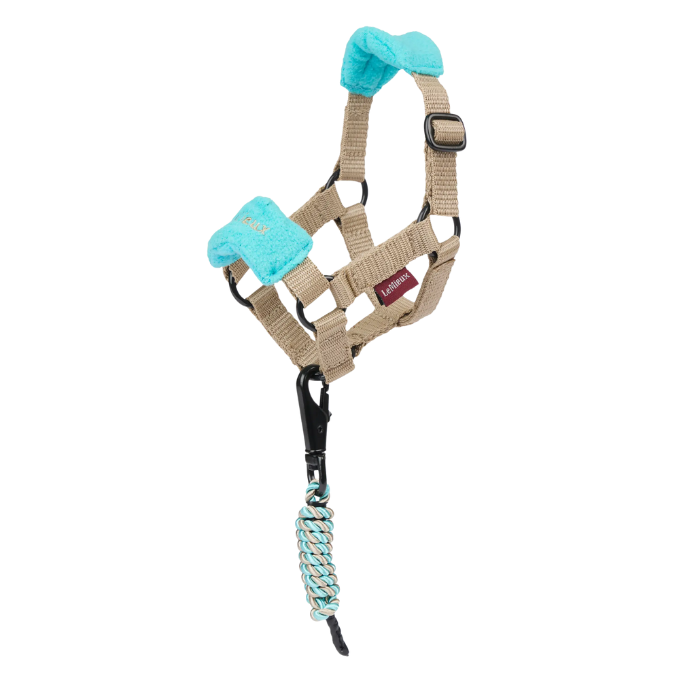 Turquoise and beige headcollar with matching rope on a white background