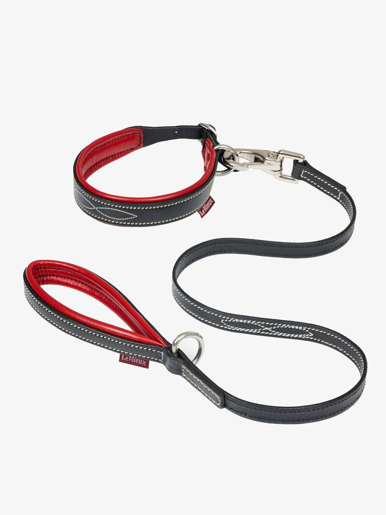 LeMieux Toy Puppy Collar & Lead