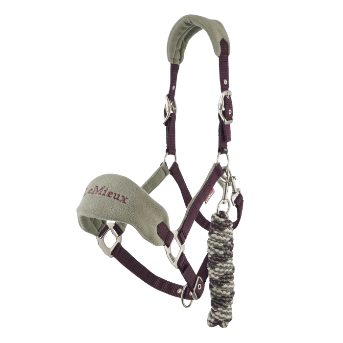 Horse headcollar and leadrope with green and purple straps on a white background