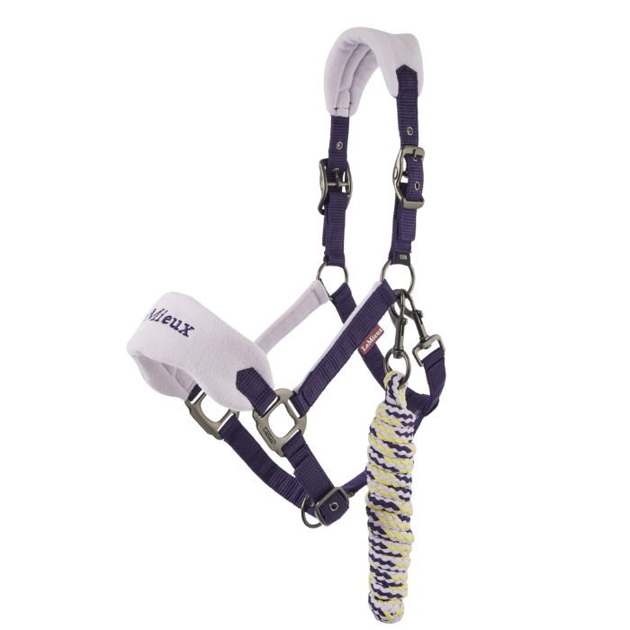 Lilac and purple horse headcollar with a rope on a white background