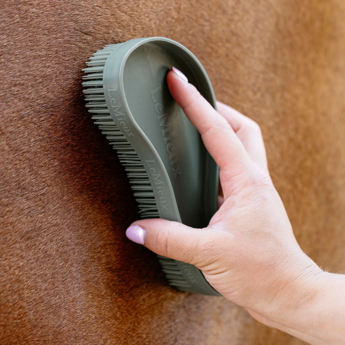 Person grooming a horse with a green brush on brown fur