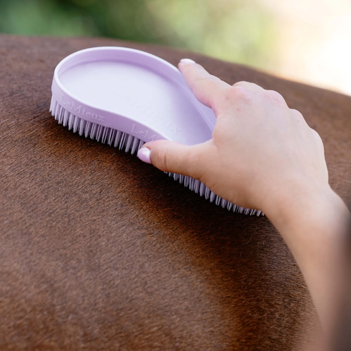 Hand using a purple brush on a horse's coat with a blurred natural background