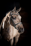 LeMieux Arika Flash Bridle