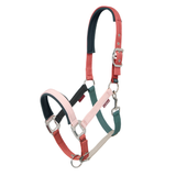 LeMieux AW26 Medley Headcollar Variant Colour Spiced. Horse headcollar on white background.