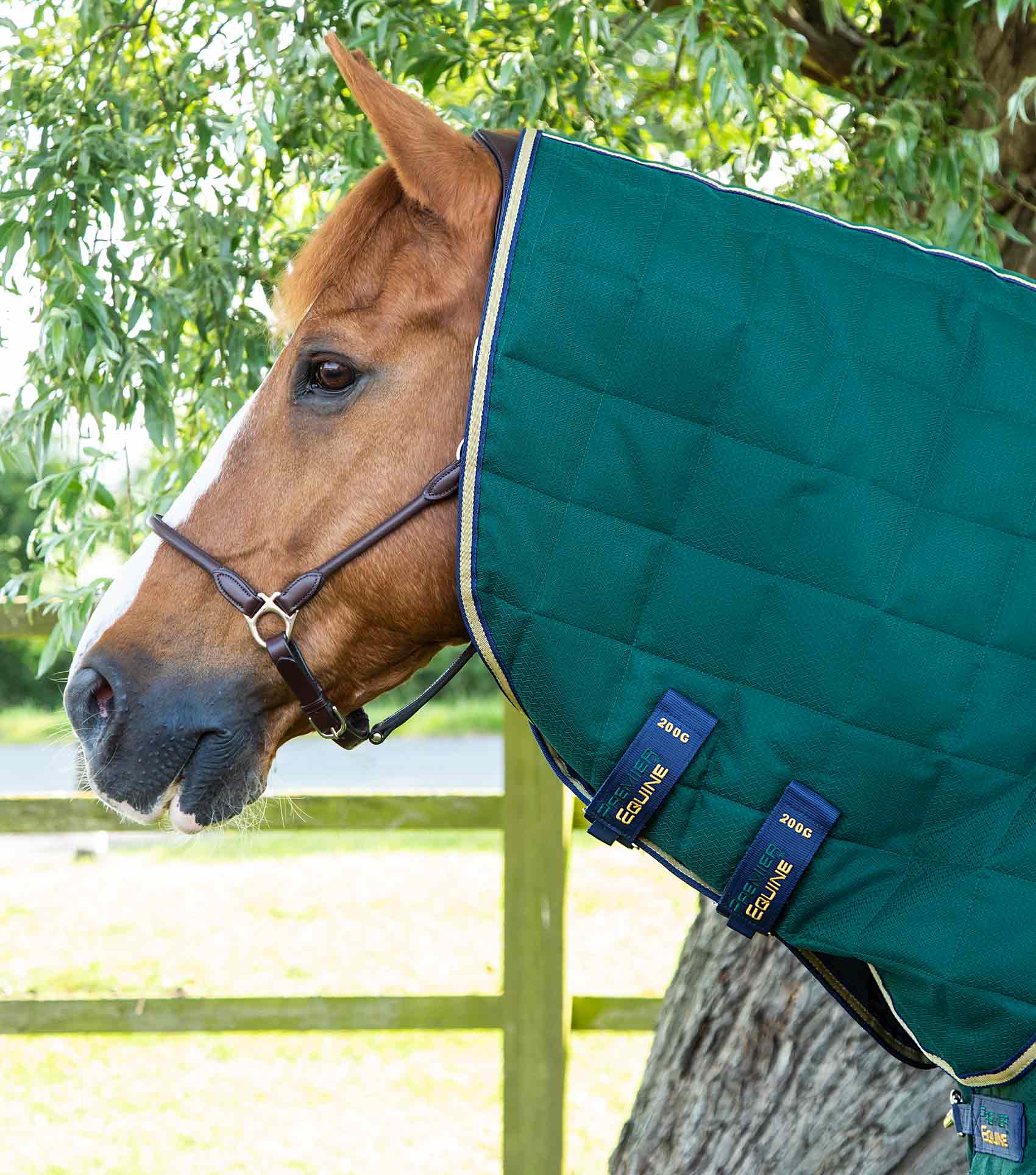 Premier Equine Lucanta 200g Stable Rug