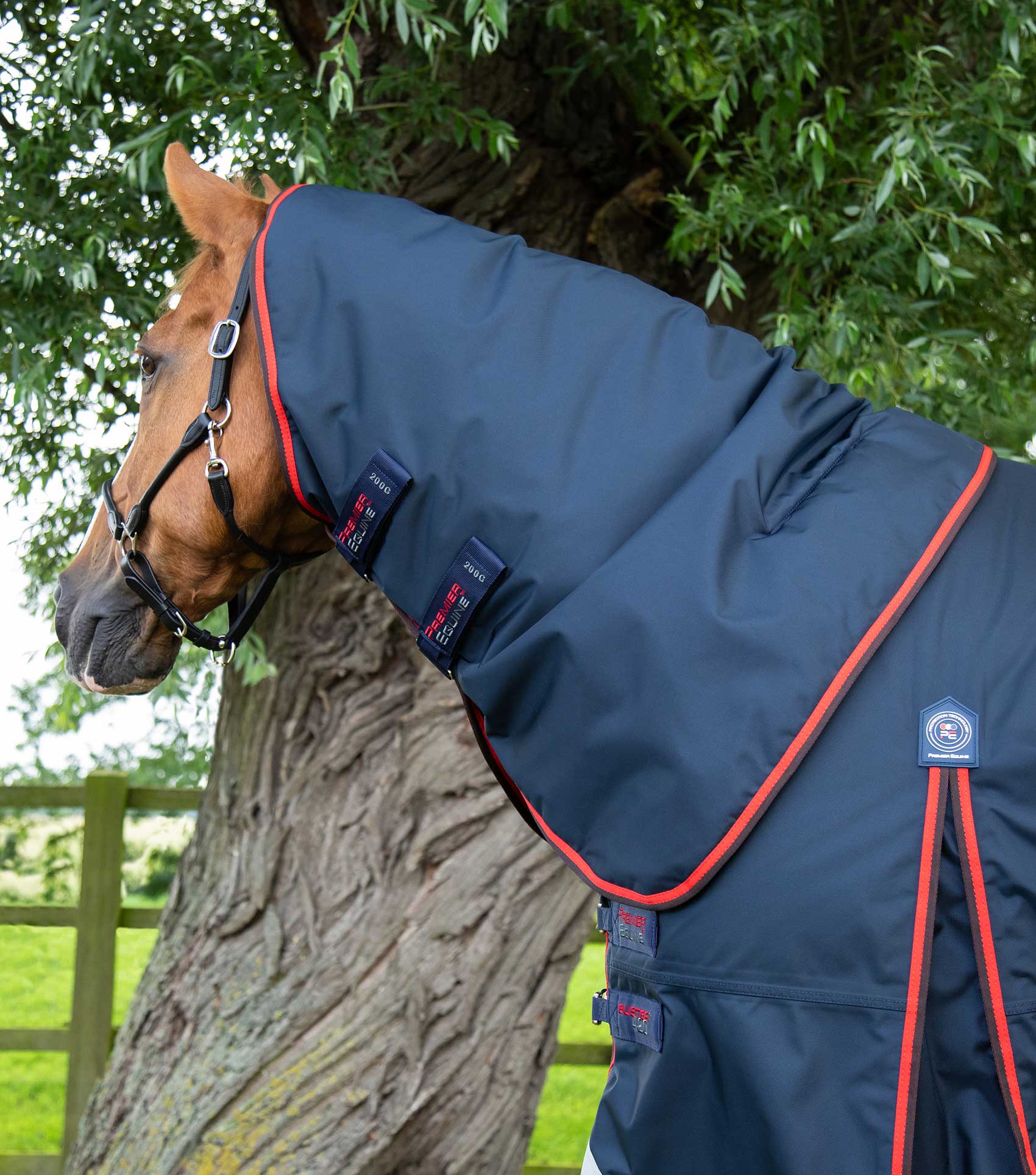 Premier Equine Buster 420g Turnout Rug With Classic Neck Cover
