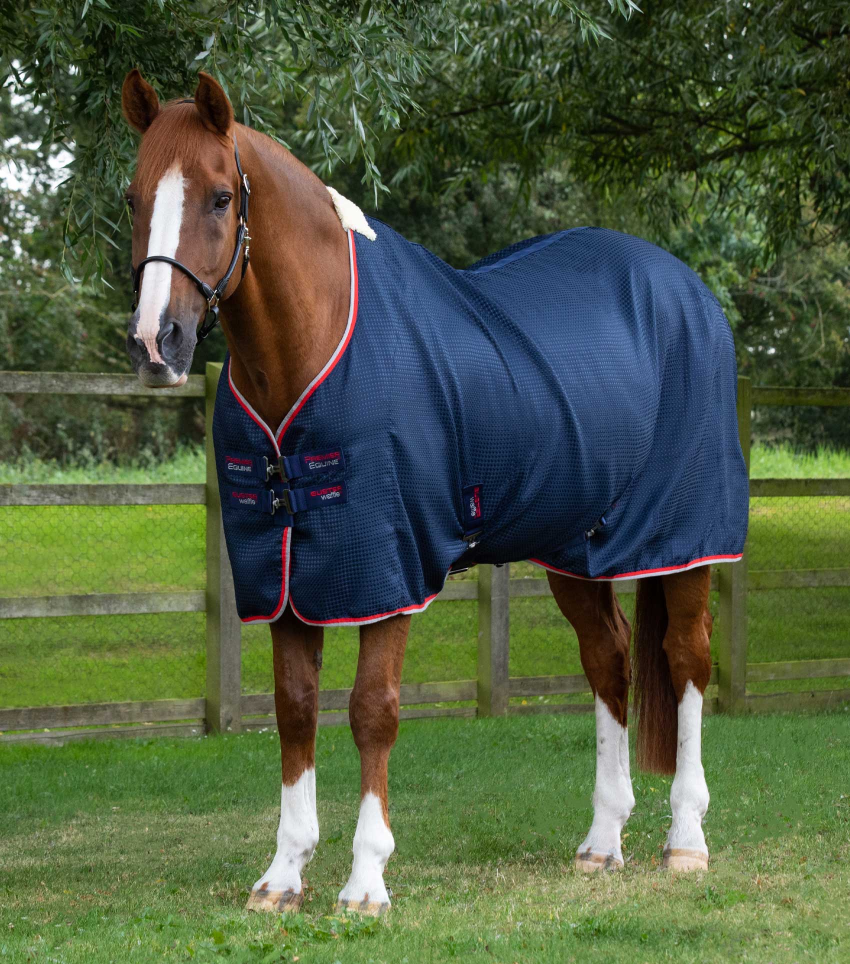 Premier Equine Buster Waffle Cooler Rug