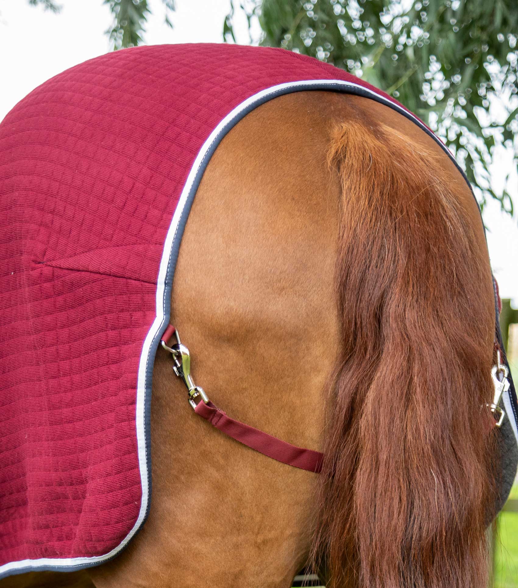 Premier Equine Premtex Cooler Rug