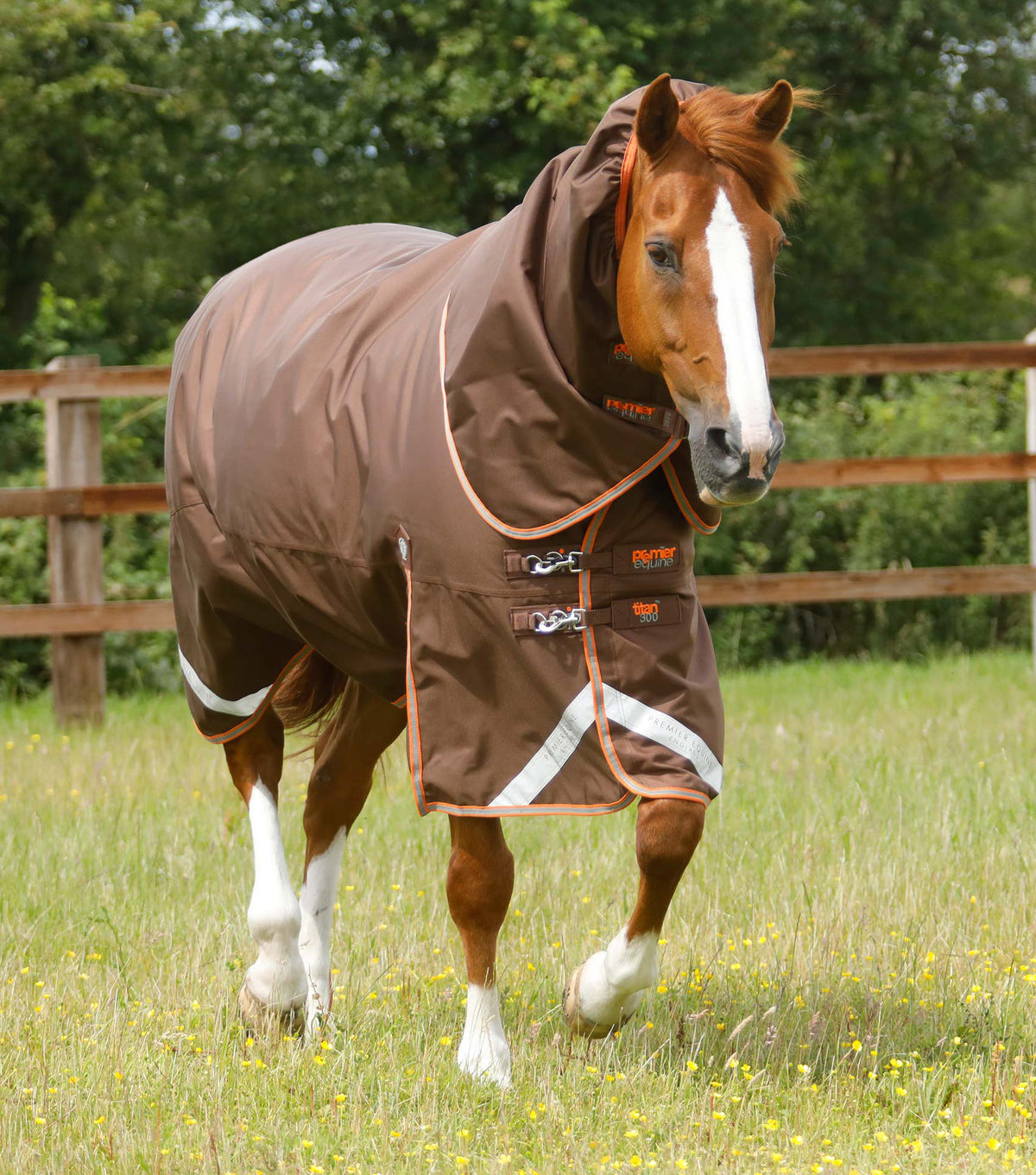 Premier Equine Titan Turnout Rug with Snug-Fit Neck Cover 300g