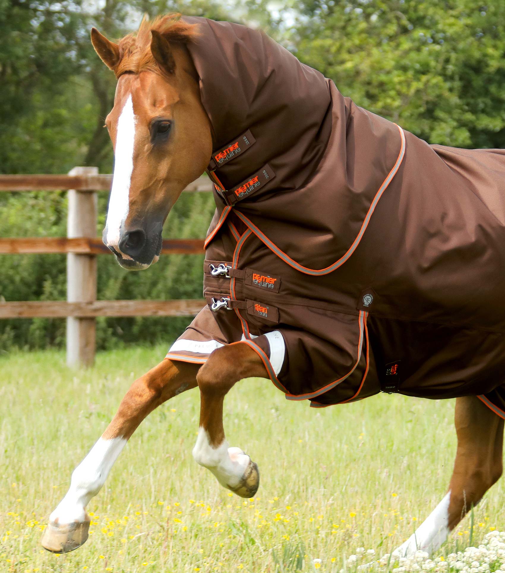 Premier Equine Titan Turnout Rug with Snug-Fit Neck Cover 300g