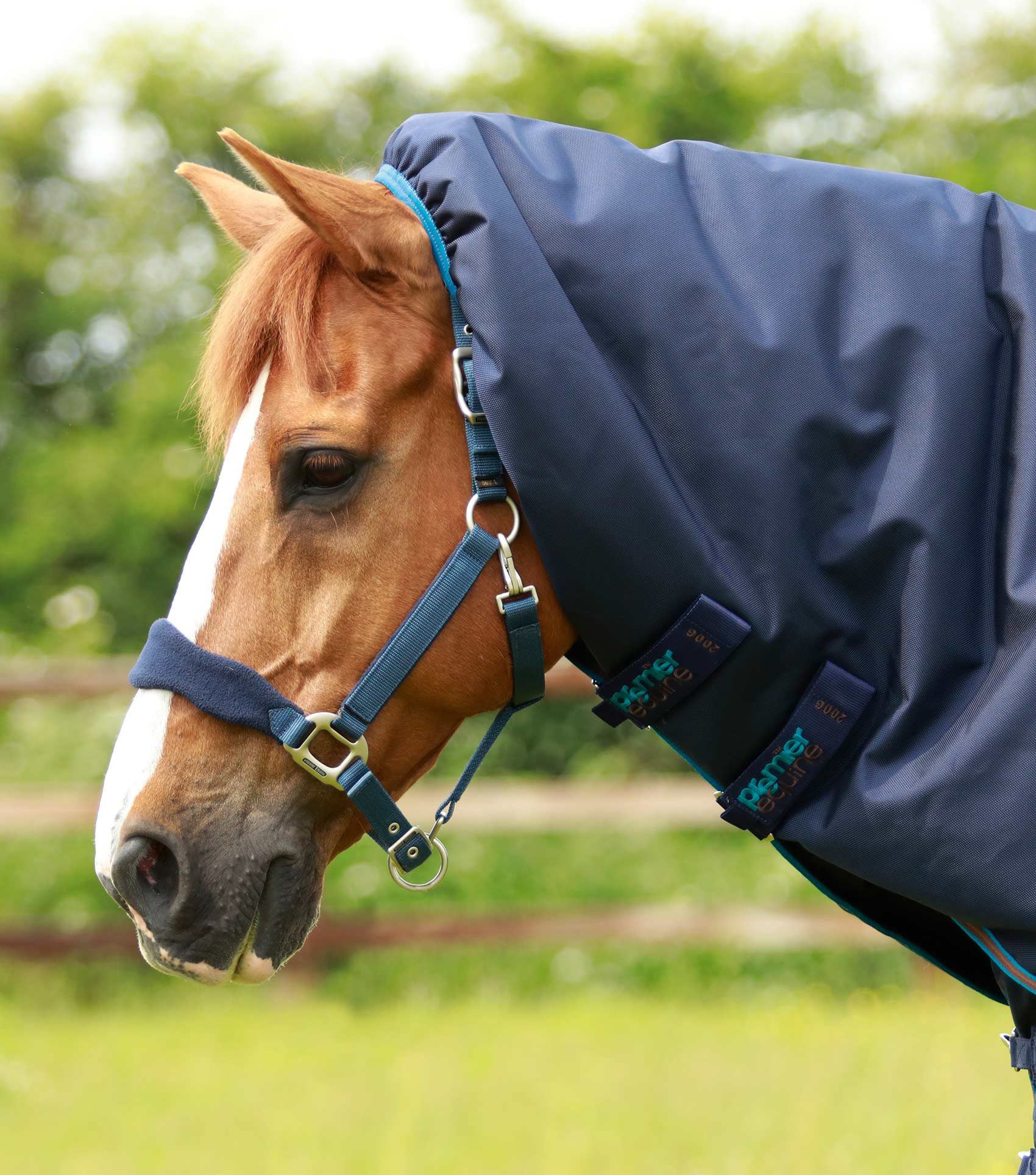 Premier Equine Titan Turnout Rug with Snug-fit neck cover 200g