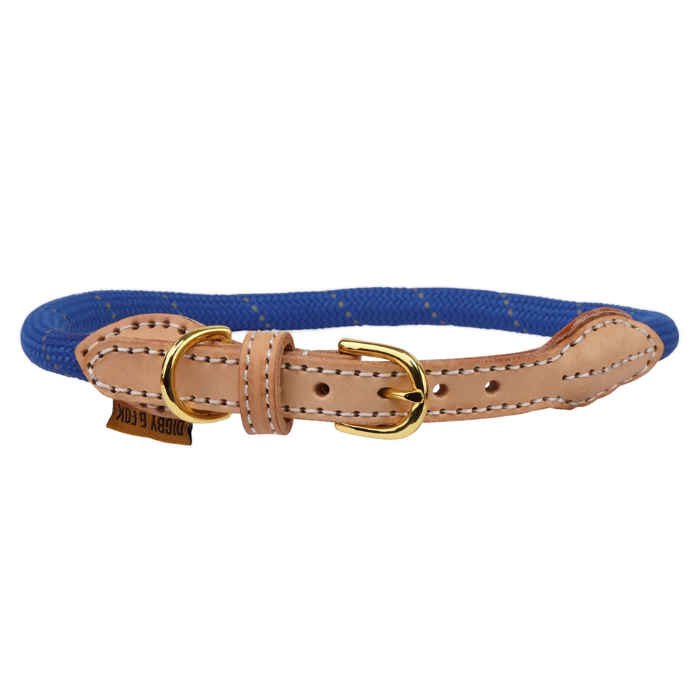 Shires Digby & Fox Reflective Dog Collar in Royal Blue
