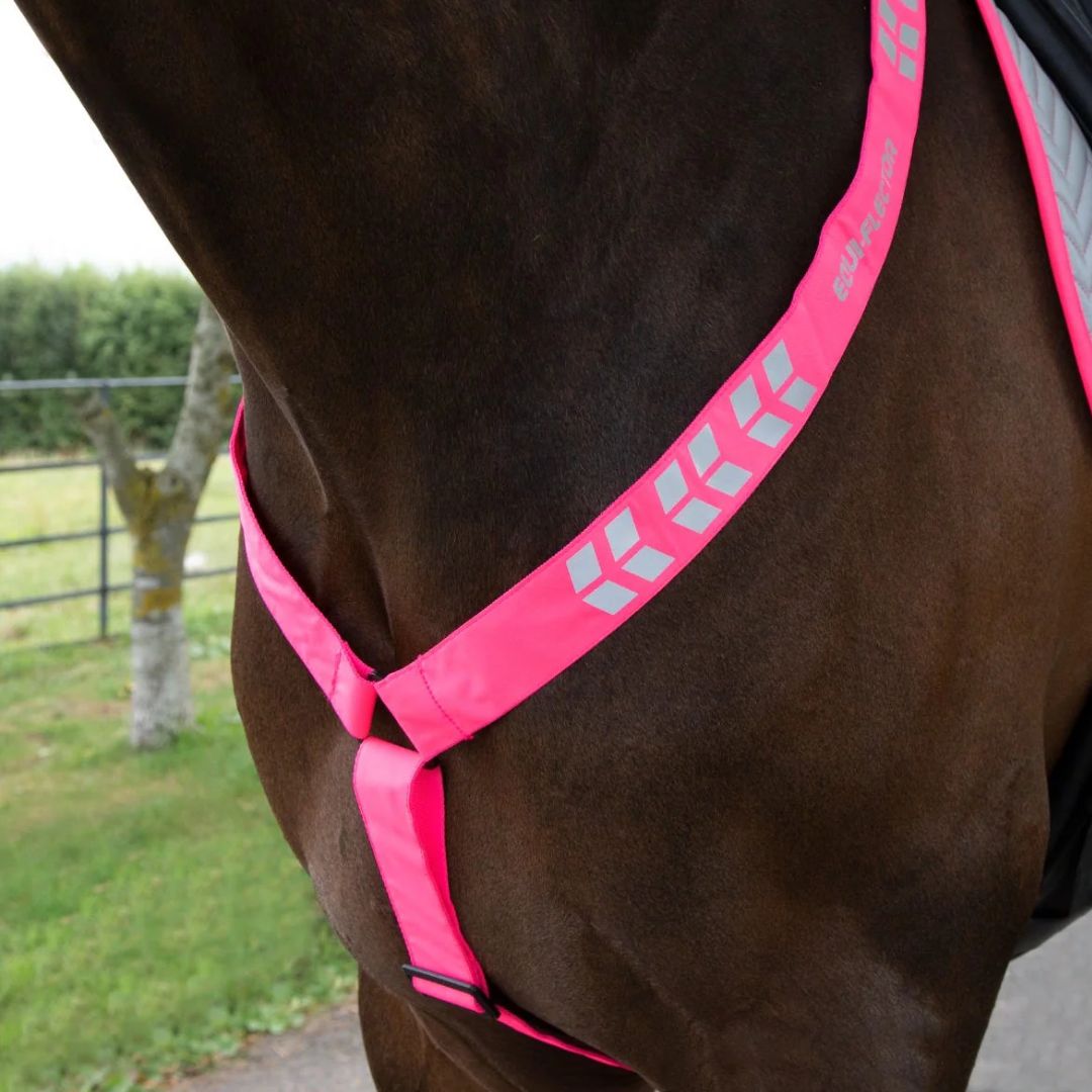 Shires EQUI-FLECTOR Breastplate