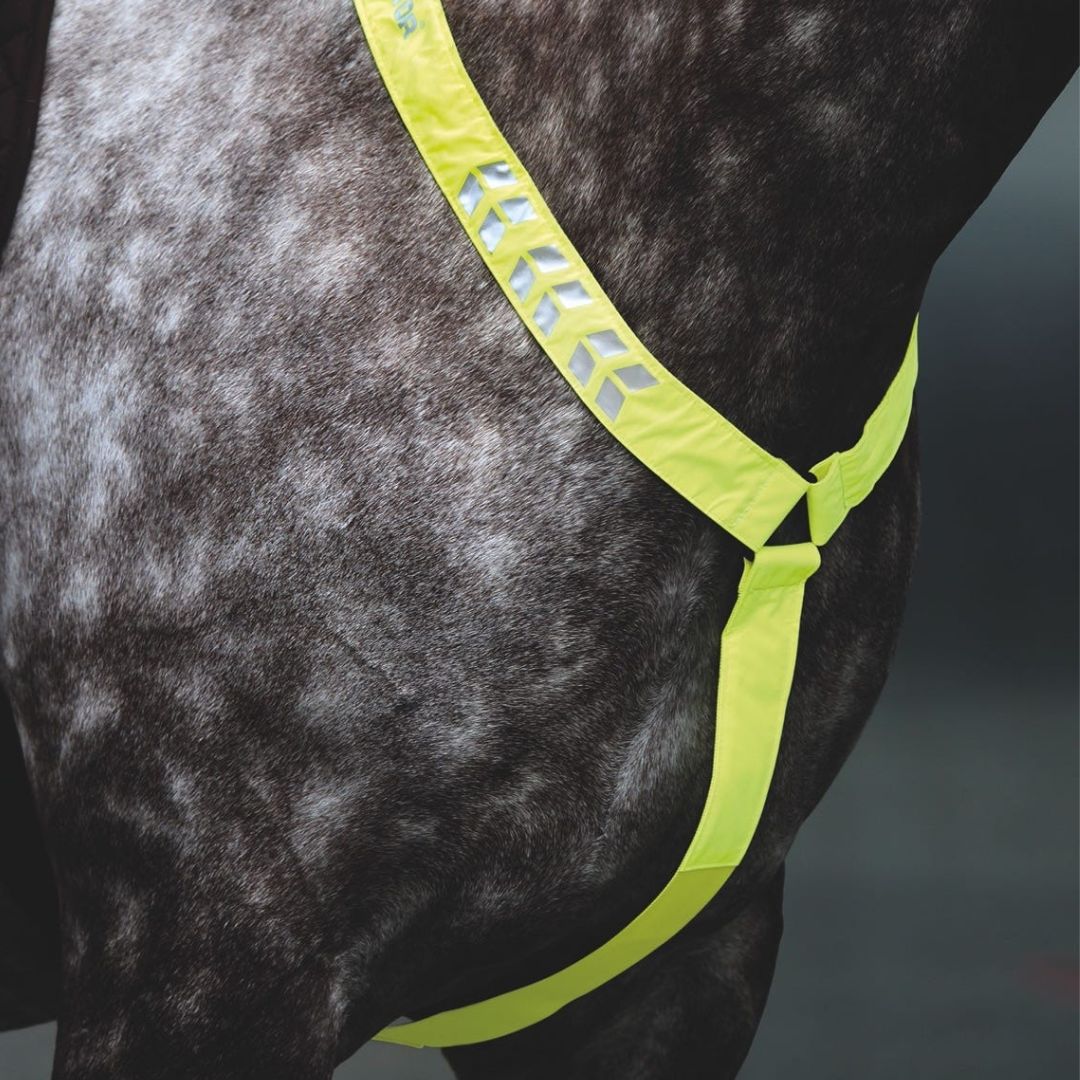 Shires EQUI-FLECTOR Breastplate