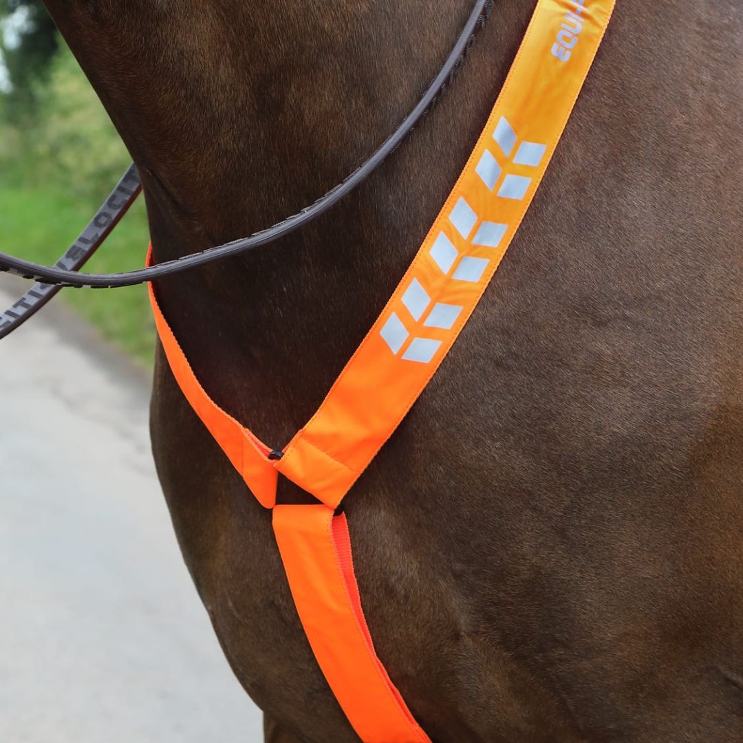 Shires EQUI-FLECTOR Breastplate