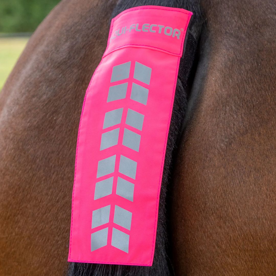 Pink reflective band on a horse's tail with 'Reflector' branding.