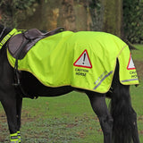 Shires EQUI-FLECTOR Waterproof Exercise Sheet