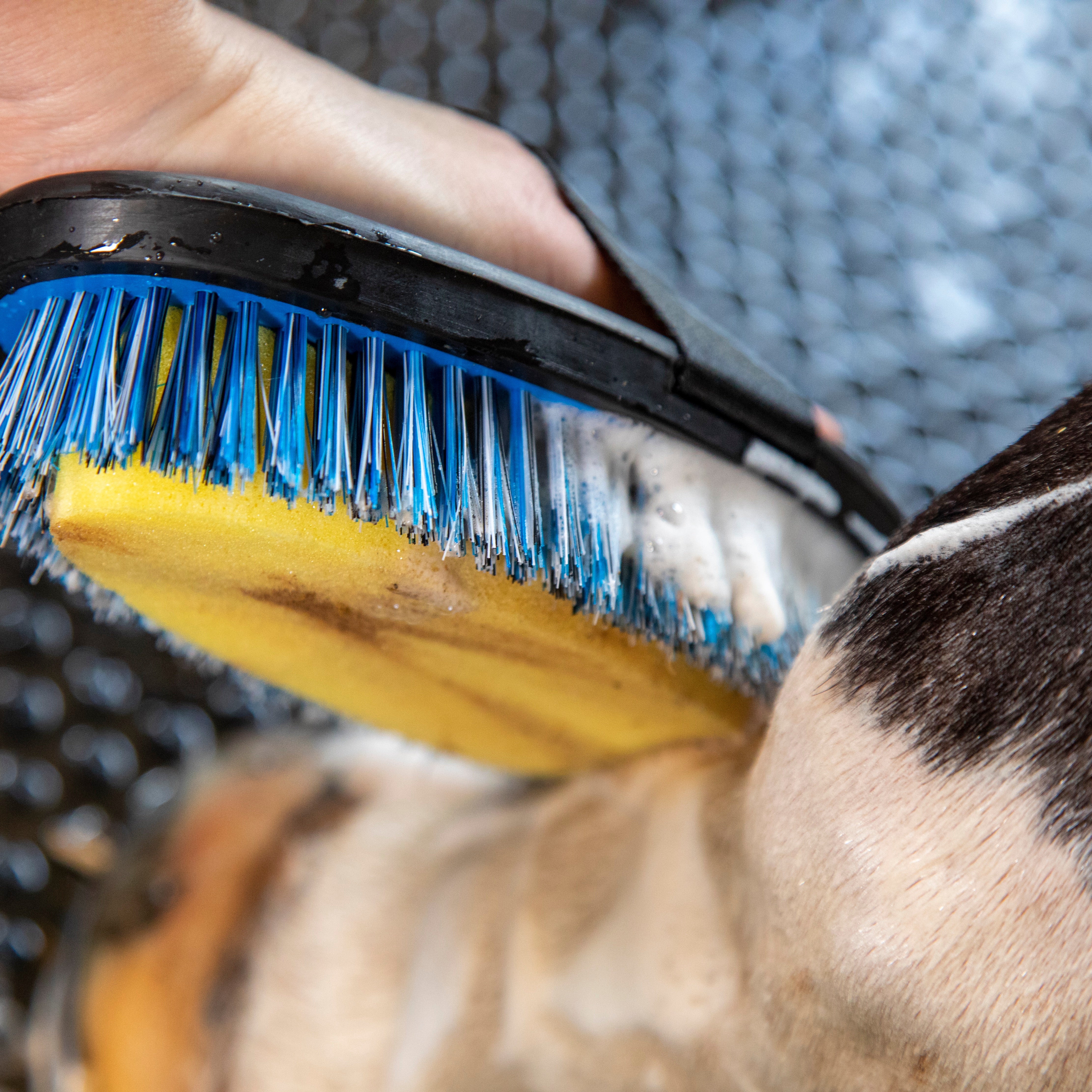 Shires Ezi-Groom Grip Body Wash Brush