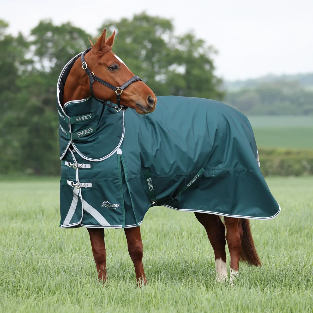Shires Highlander Original 300g Turnout Rug & Neck Set