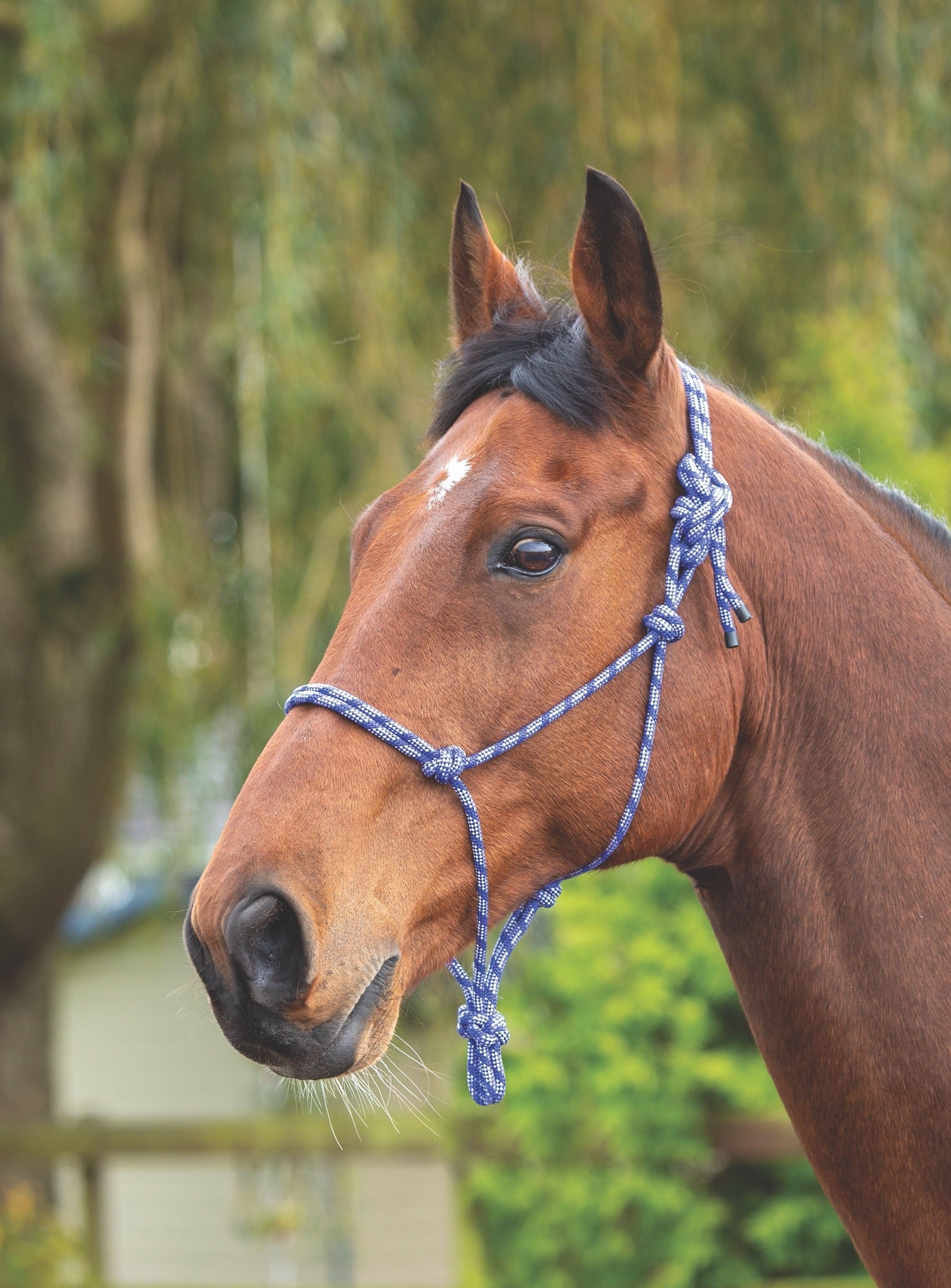 Shires Rope Control Headcollar