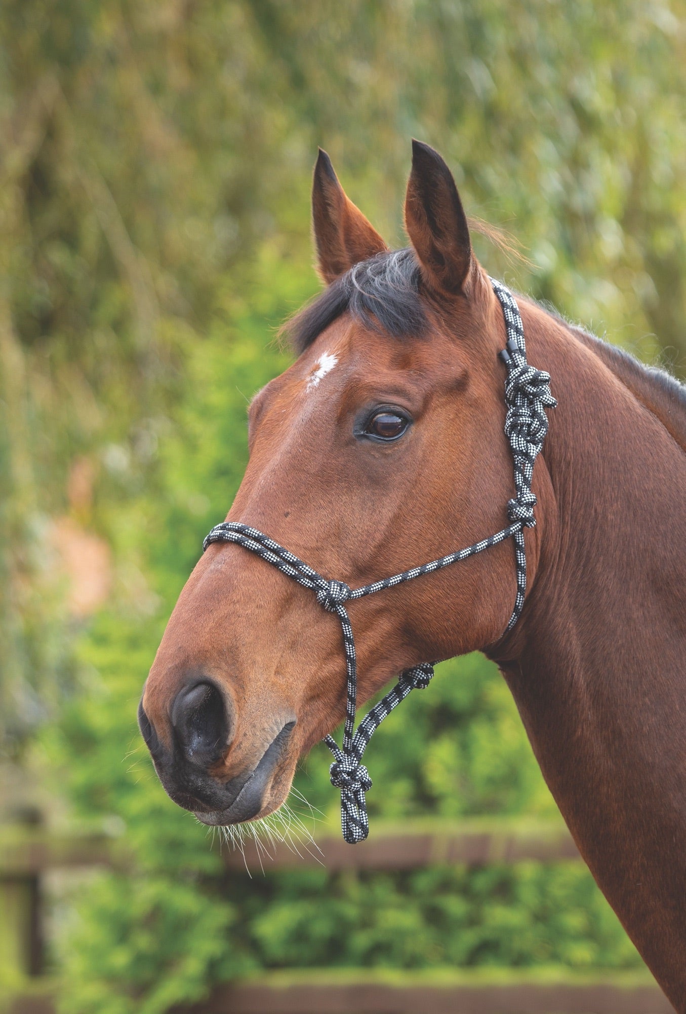 Shires Rope Control Headcollar