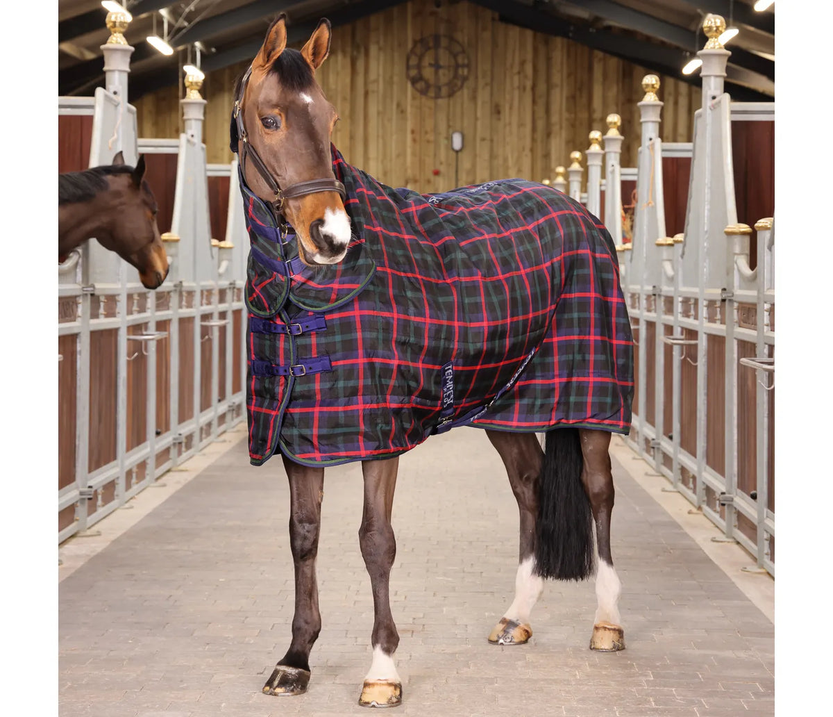 Shires Tempest Plus 100g Stable Combo Rug