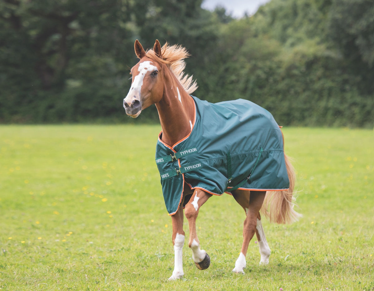 Shires Typhoon Lite Turnout Rug