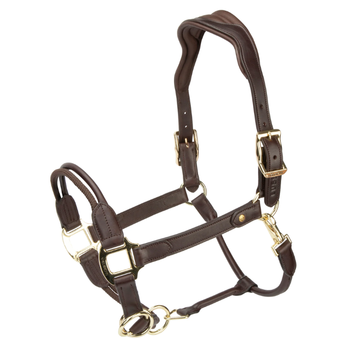 Shires Velociti Lusso Soria Control Leather Headcollar in Havana