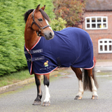 Horse wearing a blue Shires rug on a road with a building and greenery in the background