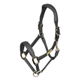 Shires Rapida Comfort Leather Headcollar