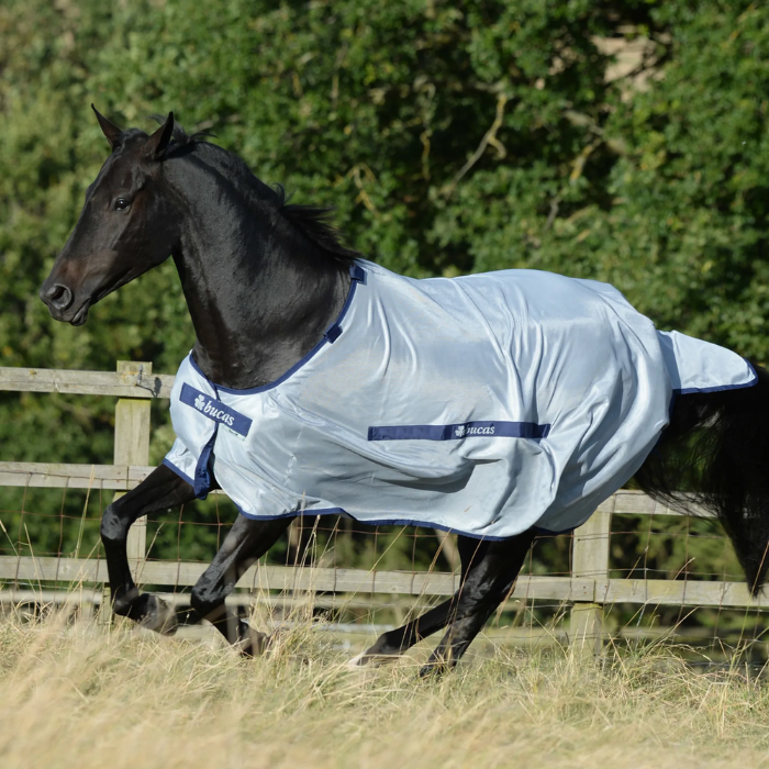 A black horse running in a grassy field with trees in the background, wearing a light blue horse blanket with dark blue trim and the 'moors' brand logo.