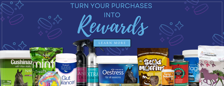 Shopify_Homepage_Banners_-_Desktop_3