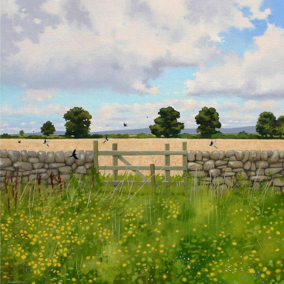 'Swallows' Greetings Card By Heather Blanchard