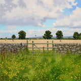 'Swallows' Greetings Card By Heather Blanchard