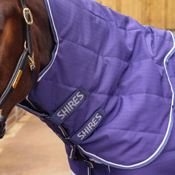 Horse wearing a navy quilted rug with 'Shires' branding.