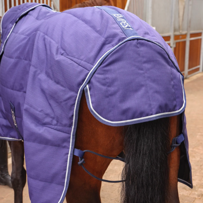 Purple horse rug with tail flap on a horse in an indoor barn.