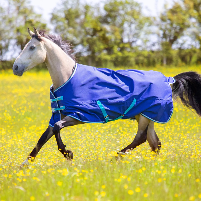 Horse wearing a blue rug running through a field of yellow flowers