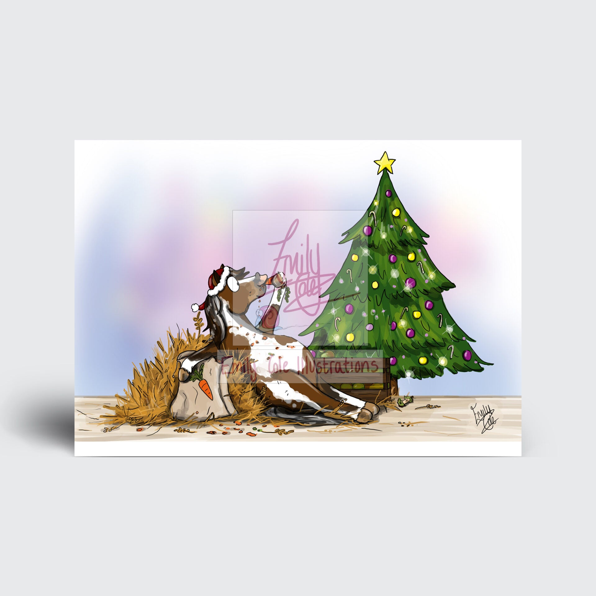 Emily Cole Christmas Card Pack