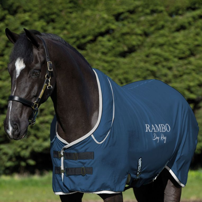 Horse Wears Horseware Rambo Dry Rug Supreme in Navy with Silver Detailing