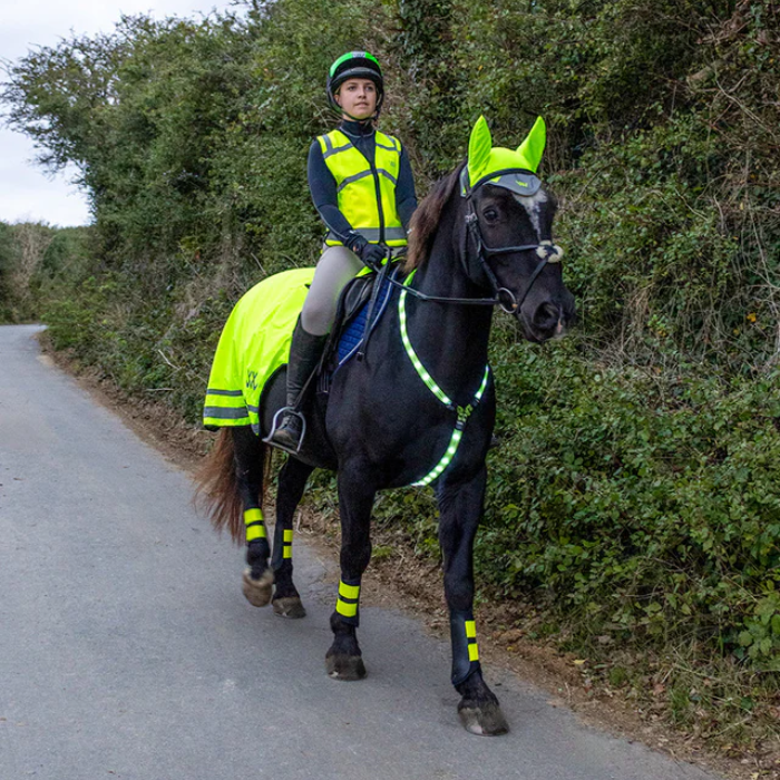 Person riding a horse wearing reflective gear on a road with greenery.
