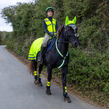 Person riding a horse wearing reflective gear on a road with greenery.