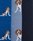 Barbour Mens Multi Sock Set-Socks-Eland Lodge