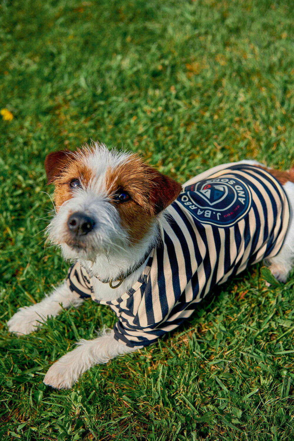 Barbour Printed Logo Striped Dog T-Shirt-Dog Coats-Eland Lodge