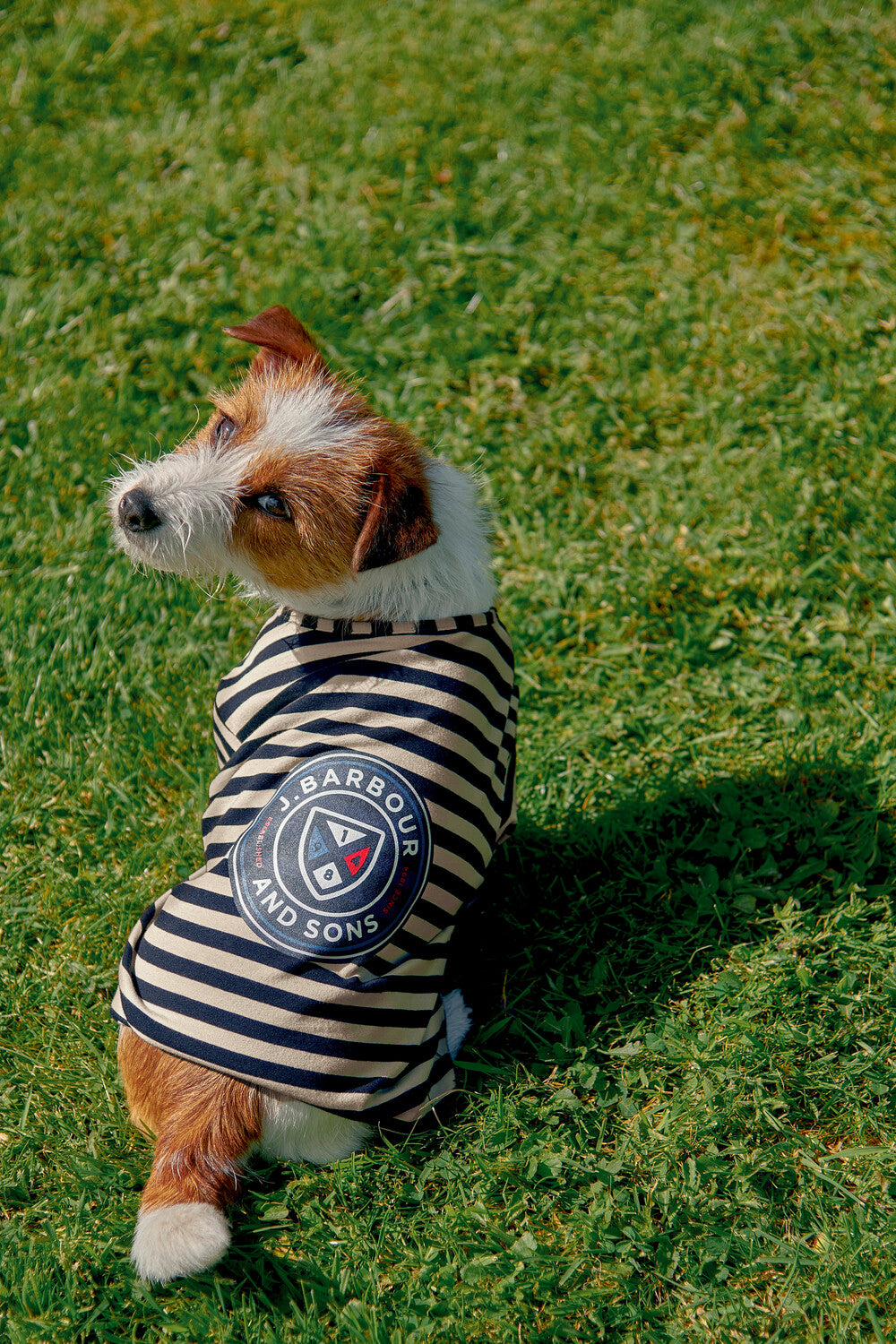 Barbour Printed Logo Striped Dog T-Shirt-Dog Coats-Eland Lodge
