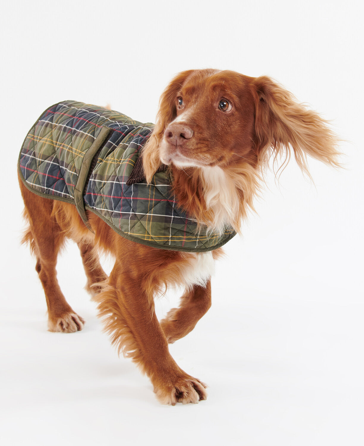 Barbour Tartan Dog Coat-Dog Coats-Eland Lodge